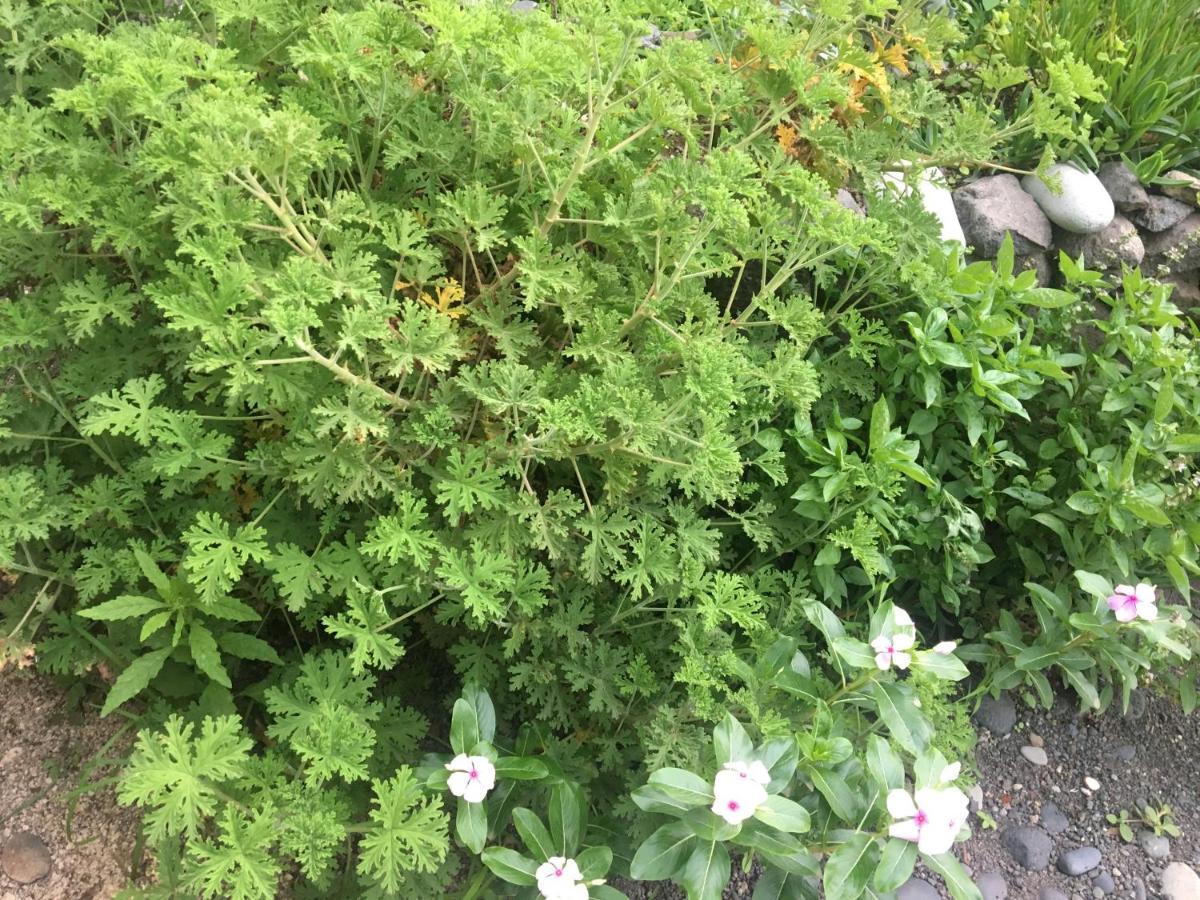 Pousada Rural Simpatia Caculi 外观 照片
